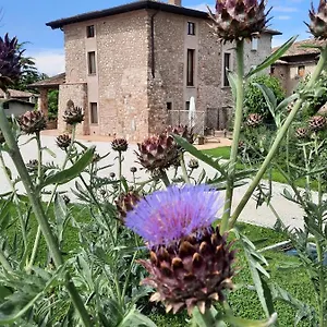 Corte Davini Agroturismo Monzambano